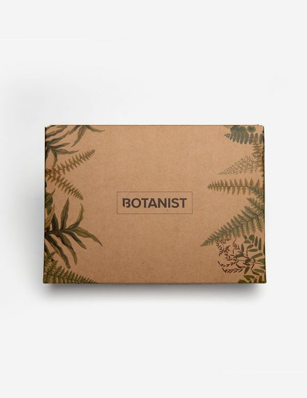 Botanist Boxershort Box